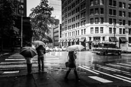 Rain, Seattle - Steve Rutherford Landscape Photography Gallery