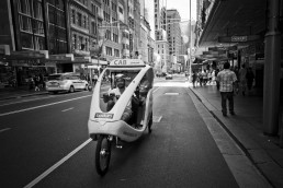Free Ride, Sydney, Australia - Steve Rutherford Landscape Photography Art Gallery