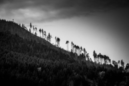 Contenders, Roslyn, Washington - Steve Rutherford Landscape Photography Art Gallery